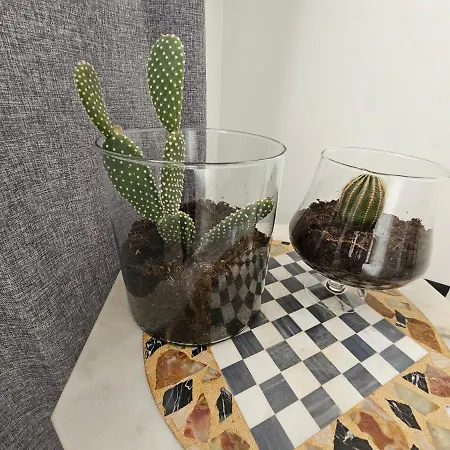 בית הארחה Frontemare Locazione Turistica